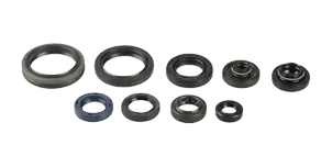 Alleen Vandaag CENTAURO Oil seals set Sherco SE-R 250/300 2014-2020