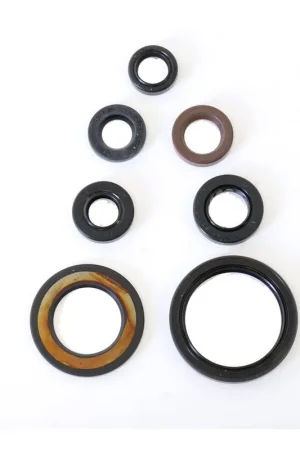 Weekendaanbieding Athena Blok Olie keerring set P400485400216