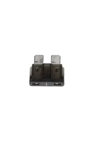 1AMP BLADE FUSE BLACK Betrouwbaar