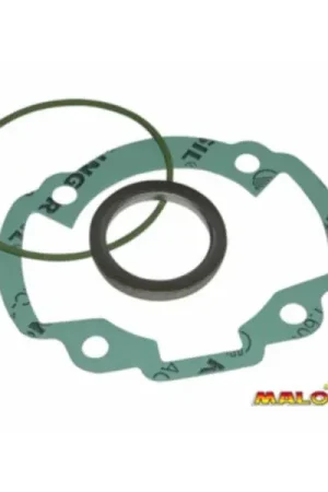 Populair pakking topset malossi 47mm past op dj, dj refined, kb-k12, sco peug, scout 119588