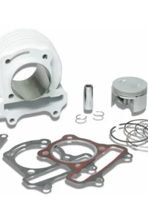 cilinder malossi 52mm past op agility, kisbee 4t, people 4t, sco china 4t, sco gy6 3113243 Must-Have
