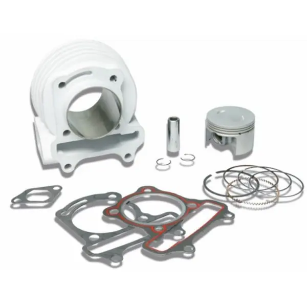 cilinder malossi 52mm past op agility, kisbee 4t, people 4t, sco china 4t, sco gy6 3113243 Must-Have