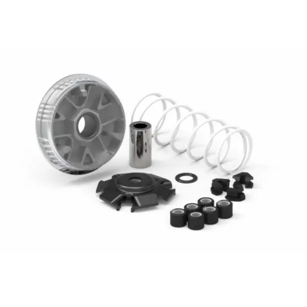 variokit malossi euro-4/5 125IE 4T past op x-town 5117641 Gereduceerde Prijs
