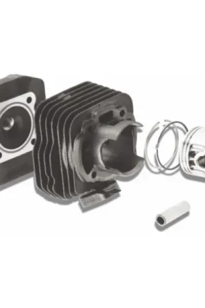 Aanbieding cil+kop malossi honda x8rx 47mm past op x8r 319879