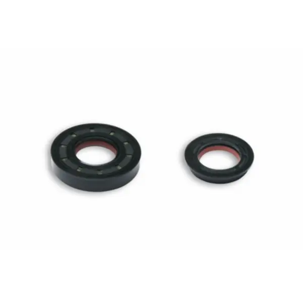 Aanbieding keerringset malossi krukas past op minarelli hor+vert 6615257