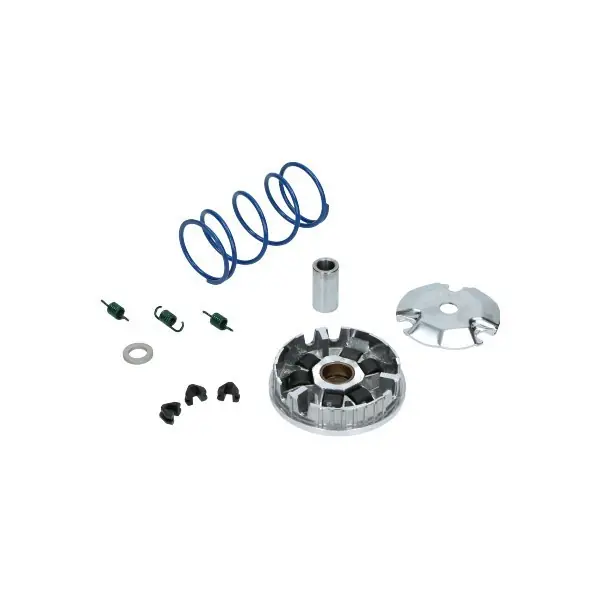 variokit polini Hi Speed past op aerox 4t euro 4, giggle, neo 4t 241.746 Rechtstreeks Van De Fabrikant