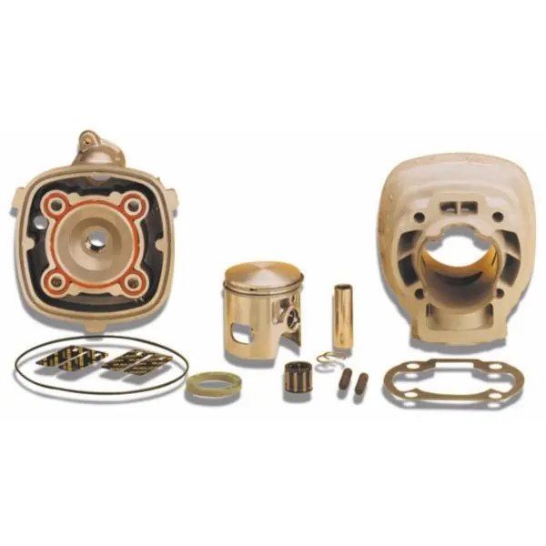 cilinder met kop malossi mhr replica 47mm past op sco piaggio lc 318466 Fabrieksprijs