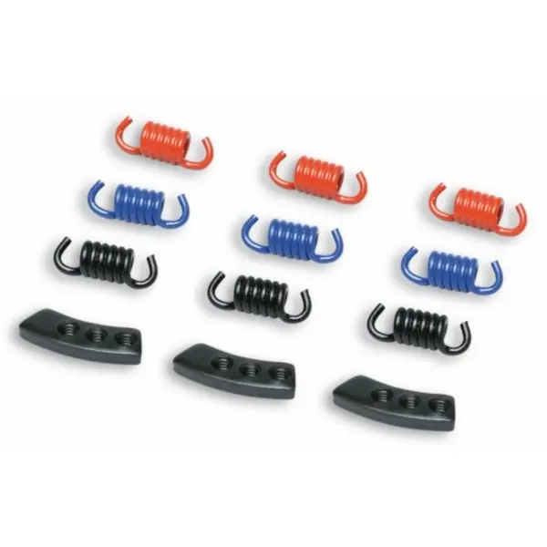 Hoge Kwaliteit kopp.trekveerset malossi 9-delig past op sco gy6, v-clic 298747