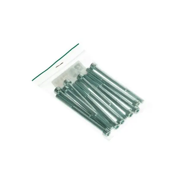 bout inbus m6x80mm 12pcs Direct Verzonden